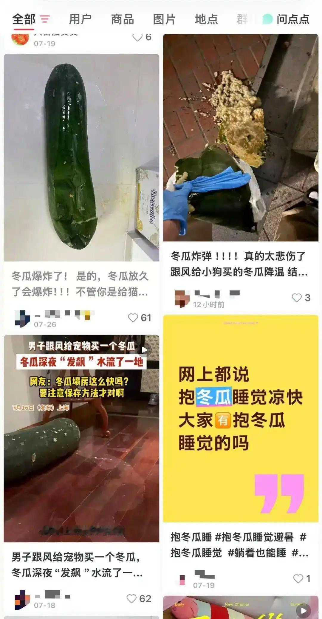 “第一批抱冬瓜睡觉受害者”，生动诠释了盲目跟风的代价。2026年盛夏，社交平