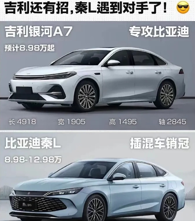 多宝和王老吉干仗，何其正没了。如果吉利和比亚迪是嘉多宝王老吉，谁是何其正呢？