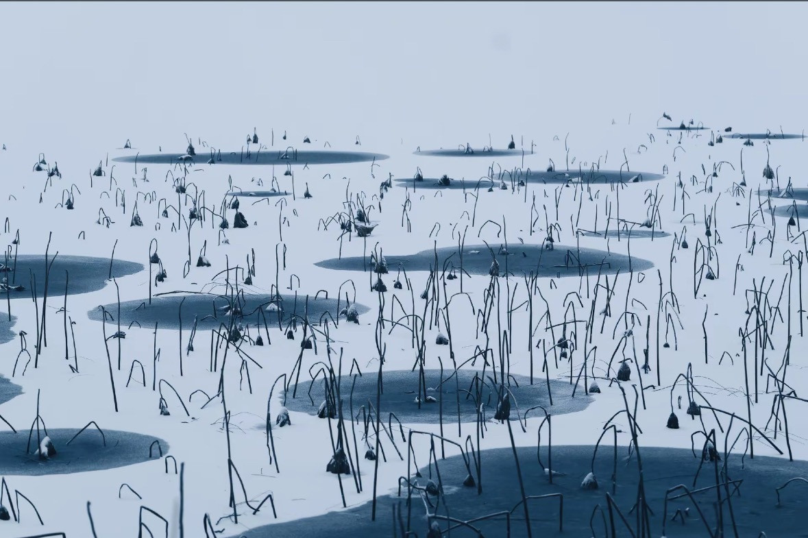 颐和园，刷到的，我觉得很美