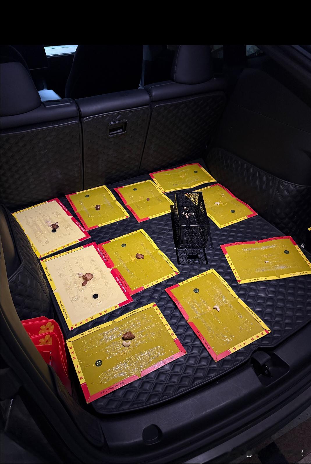 车内真的有老鼠，线束都被它咬断了。两天了，依然没抓到老鼠。真的有老鼠，但经过两