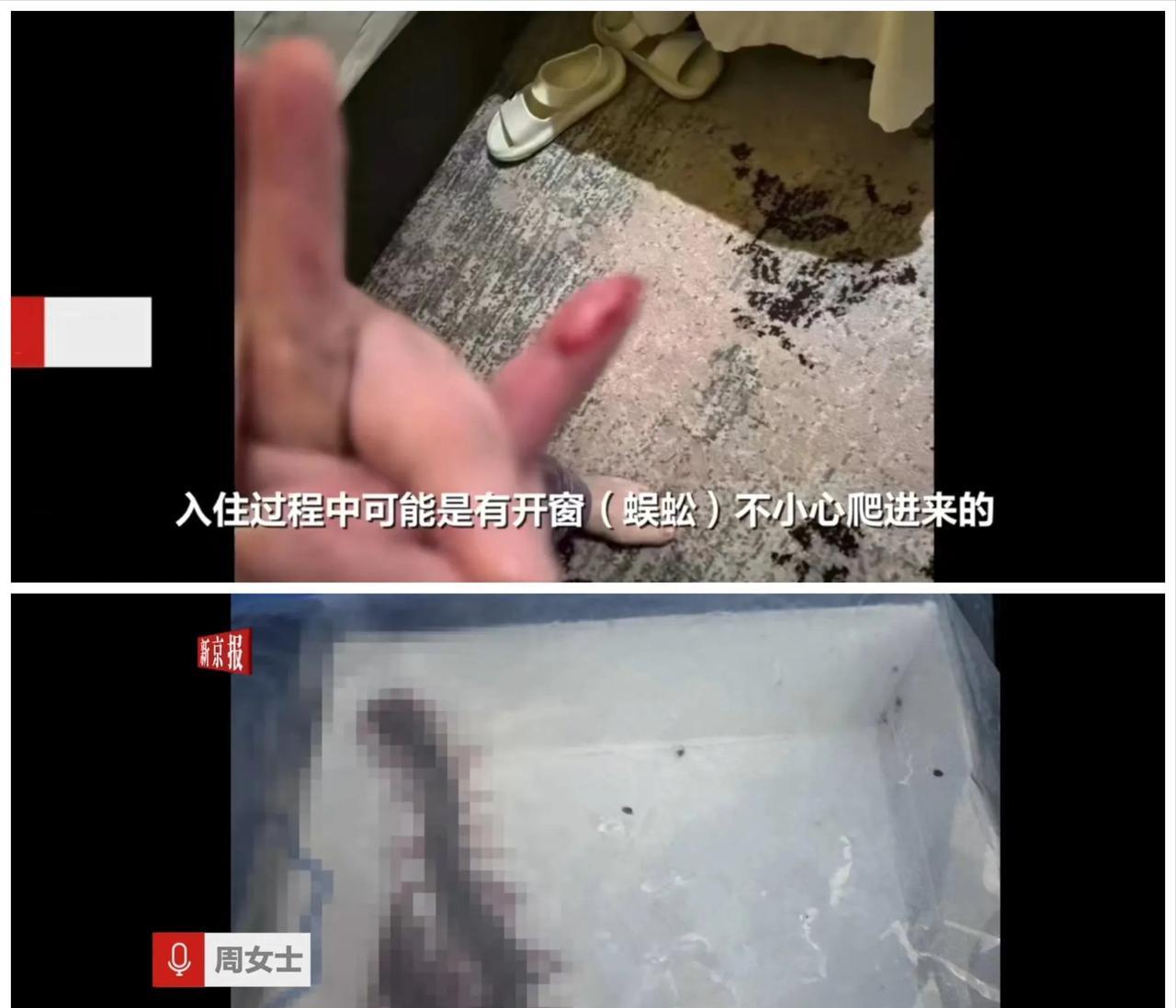“没见过这么倒霉的！”7月15日福建，一女子和家人外出旅游时，晚上入住在当地一家