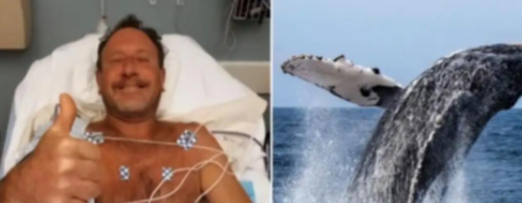 2021年夏天，美国马萨诸塞州的普罗温斯敦港，发生了一件轰动全网的奇事，56岁的