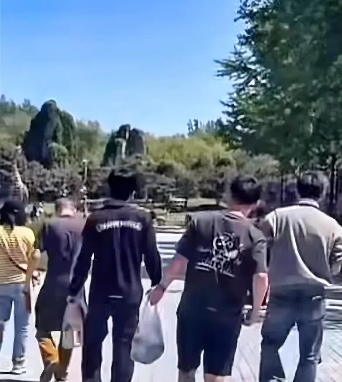 刚刚有人在北京野生动物园偶遇了王楚钦。他正在陪着爸爸妈妈一起逛动物园。旁