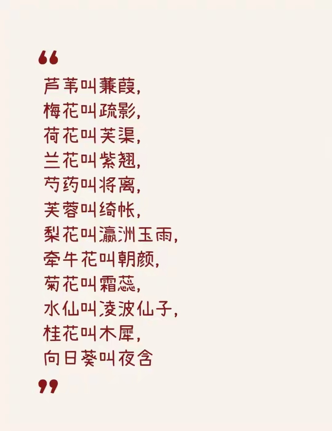 雅​​​