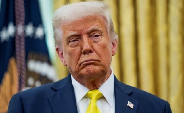 一位日本华人表示“高端轴承、精密仪器、传感器、机器人减速器、碳纤维、光刻胶以及