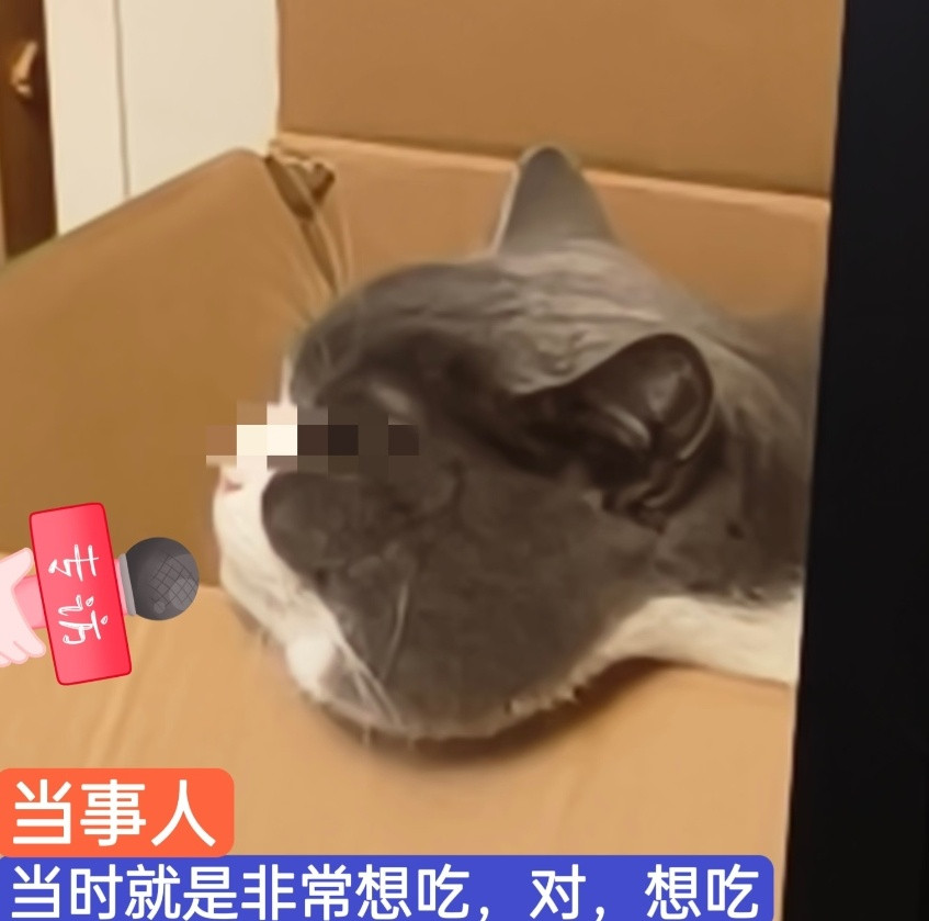 【为啥一吃自助就忍不住拿便宜货？】花两百块吃自助，一心想回本，手却总不自觉拿油炸