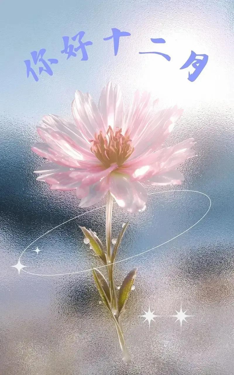 昨晚刷朋友圈，满屏都是“十一月再见，十二月对我好一点”配图不是咖啡杯就是夜景，再