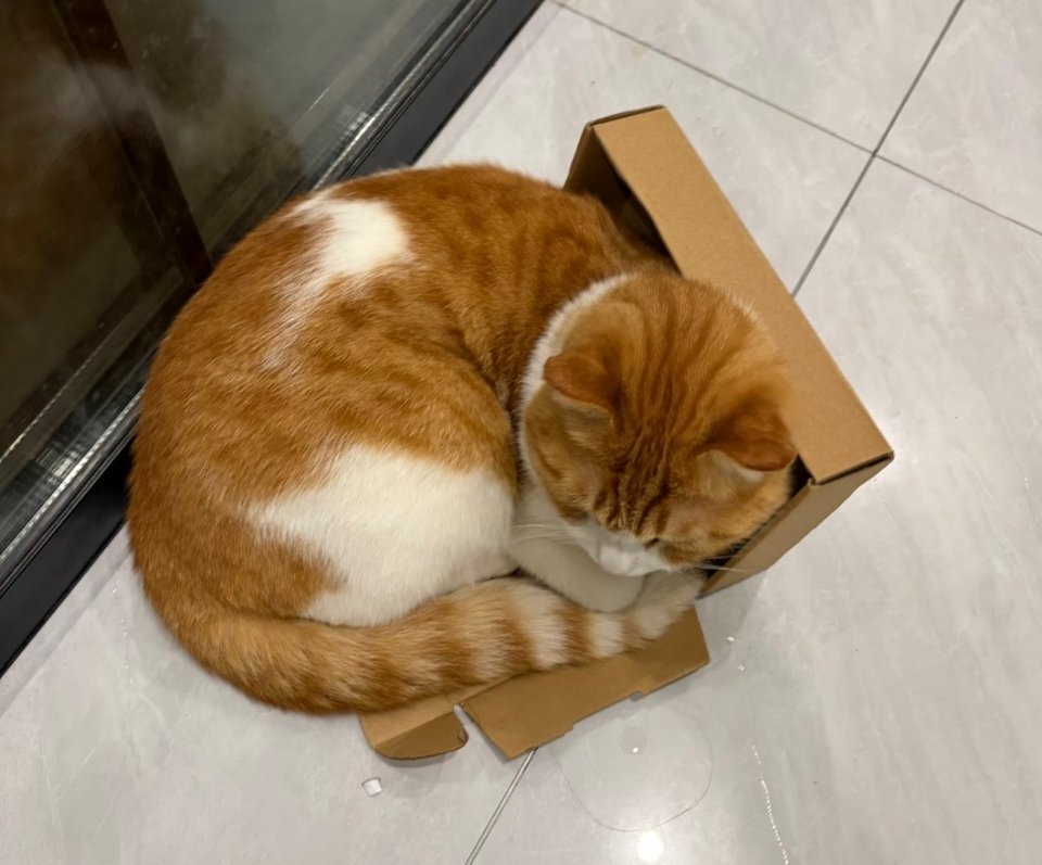 不管多大尺寸的箱子，躺就对了。