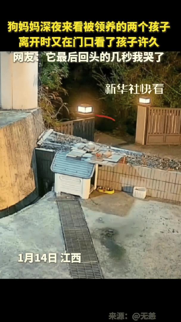 泪目了！江西，男子深夜准备睡觉时，突然听见院子里有异响，还以为进了小偷，立马点开