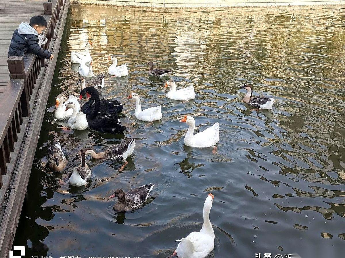 一纸调令，把他从卫健委派到医院当书记，名义上的一把手。结果呢？人到了，权力没