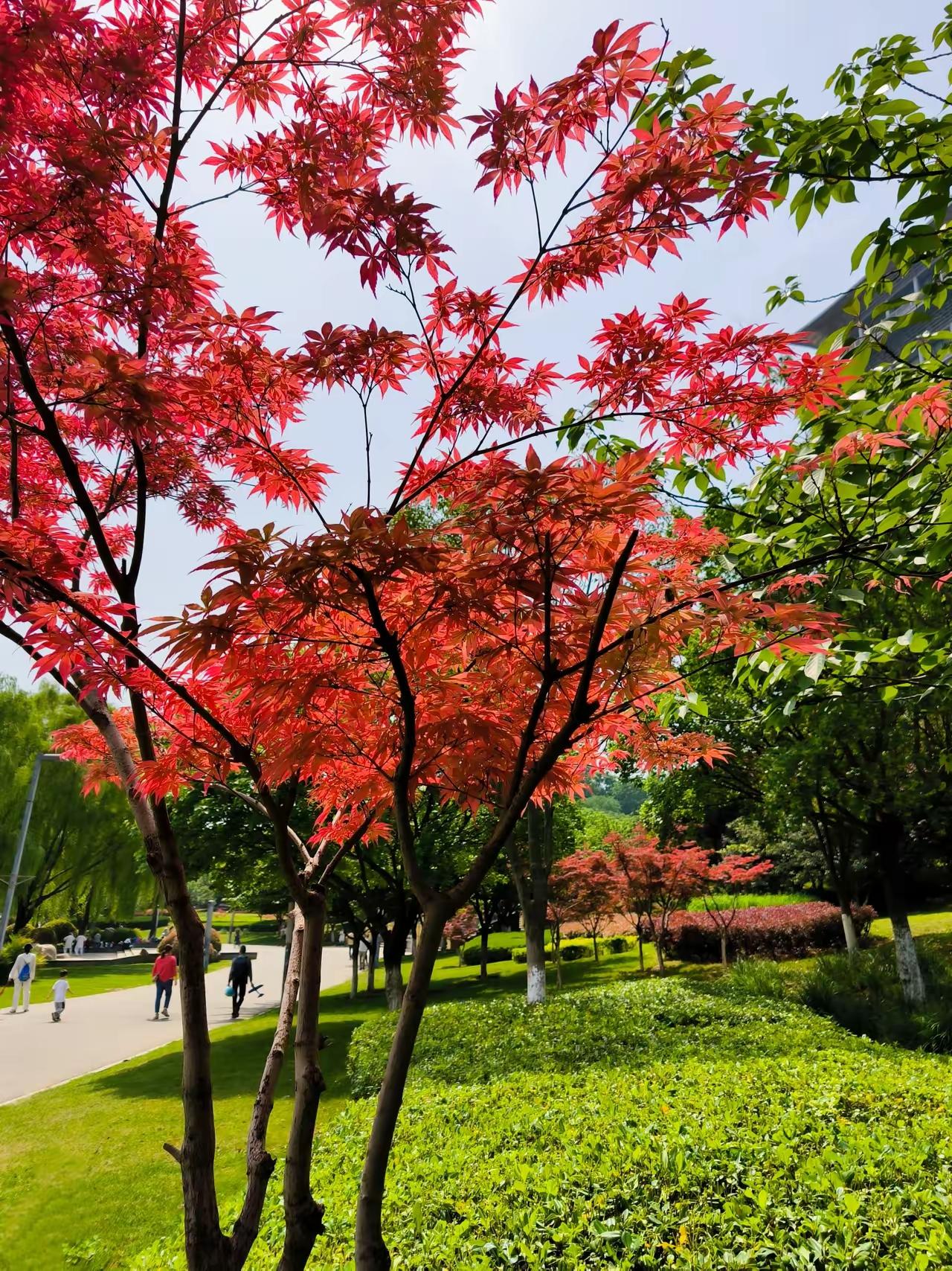 自省方知路远，释怀方得心安人活这一程，挑别人的错，不过抬手之易；认自己