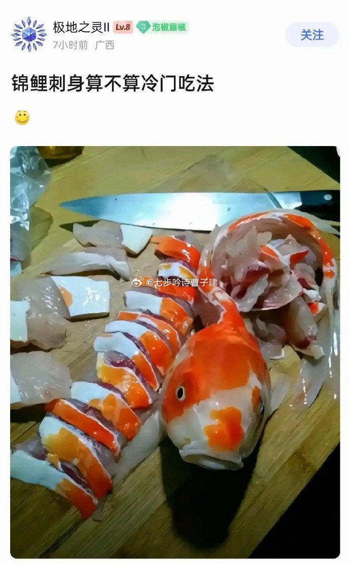 锦鲤：能不能给我个准信