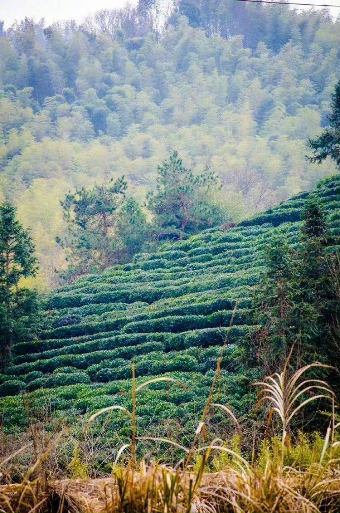 安徽·六安，大别山北麓的小村庄，岁月平淡，惊艳了时光。​​​​