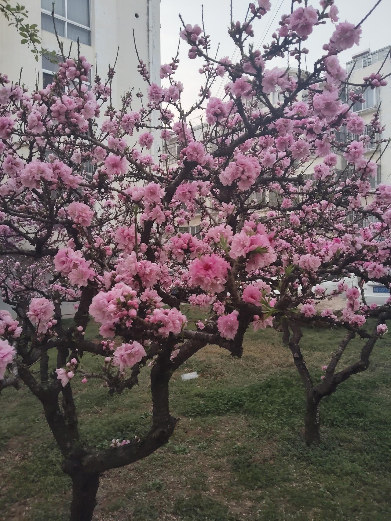 朋友们，大家认真的想一想，男人只要没事干，吃喝嫖赌生杂念。这句话到底对不对呢？我