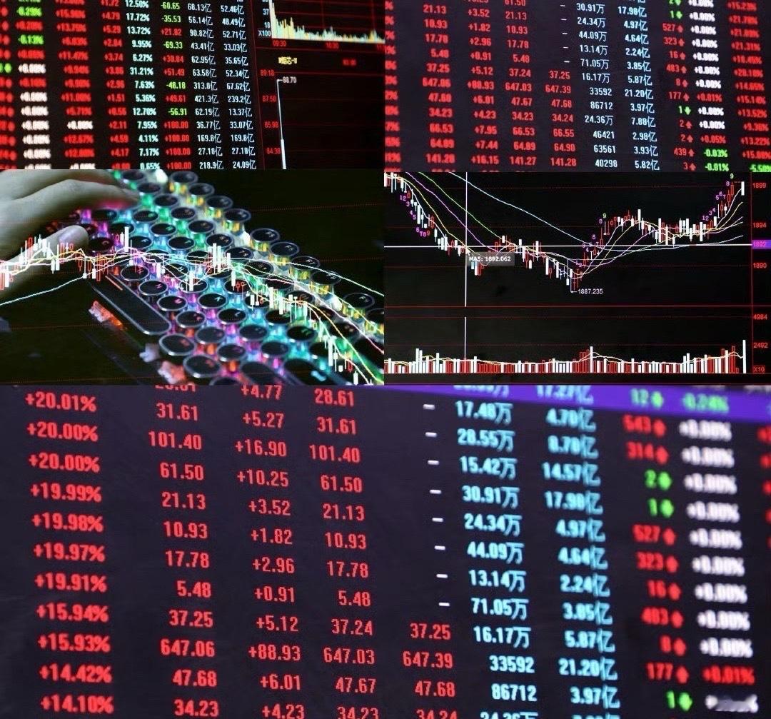 沐曦股份网上发行中签率跟摩尔线程几乎一模一样！摩尔线程网上发行初步中签率为0.0