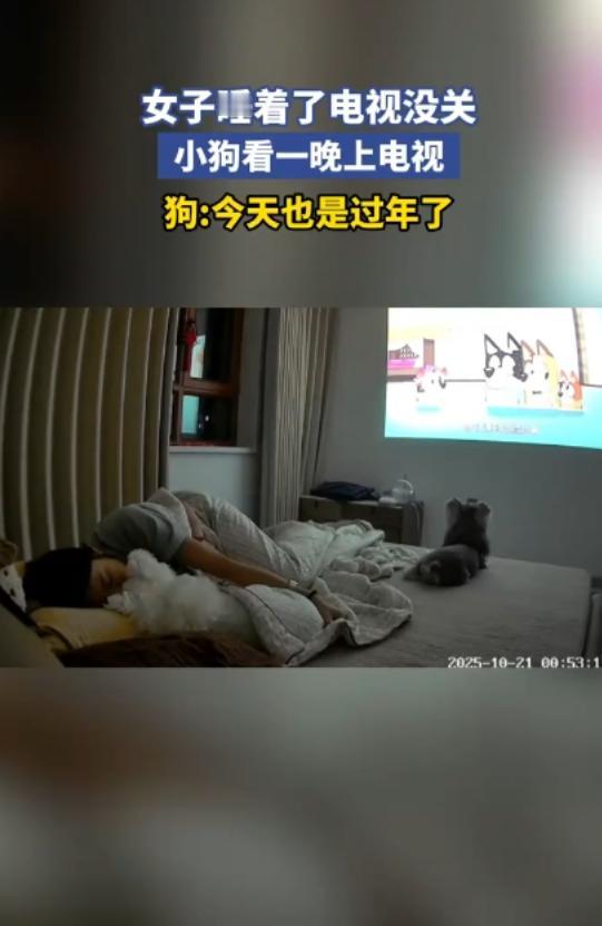 黑龙江,一女子睡觉忘关电视,就这样电视从晚播到第二天早上,等女子醒来后发现,眼前