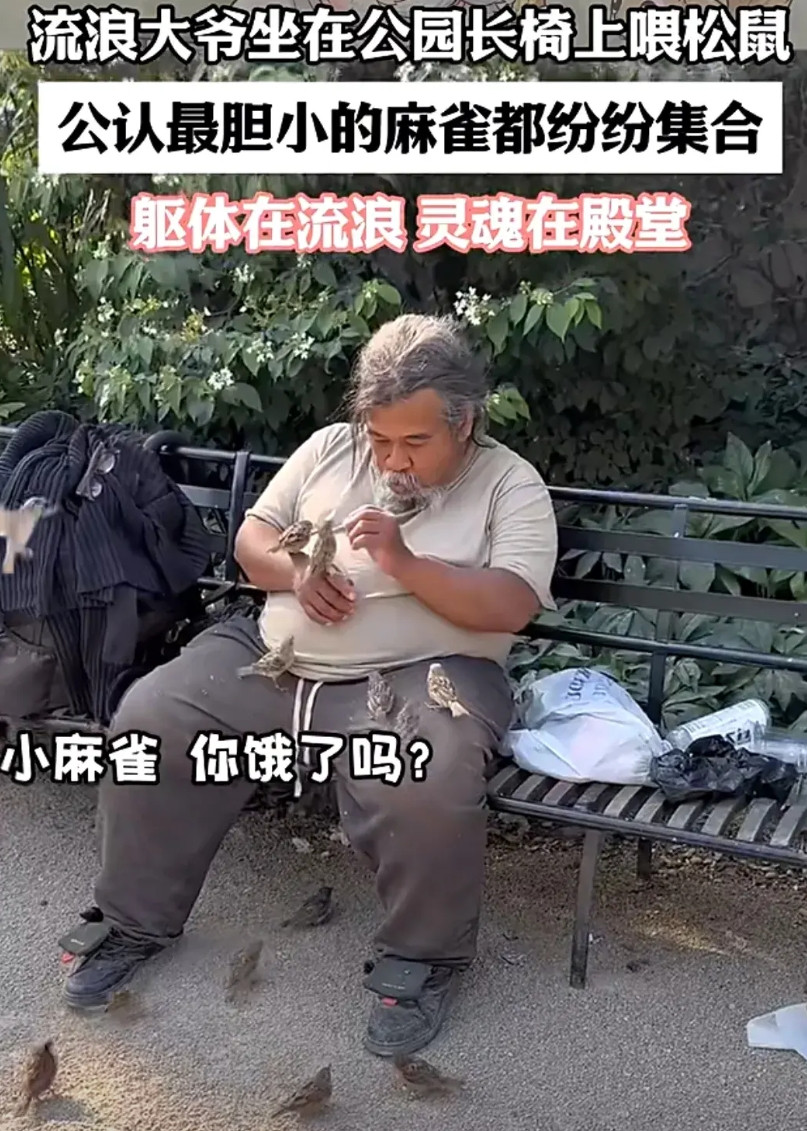 这个流浪者内心一定是善良柔和的，小动物可以感知人类的磁场，如果一个人是屠夫，那他