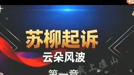 苏柳起诉云朵并不感觉意外近日，网络上盛传苏柳因《雪线之上》版权问题把云朵告