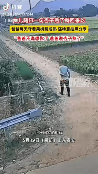 泪目。山东一女子回家与父亲聊家常时，轻轻说了一句：“等杏熟了我就回来吃”。女儿只
