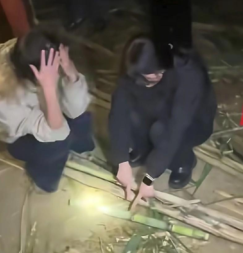 四川眉山有个叫郭鹏飞的老板，把自家45亩甘蔗地改成游戏场。游客花9块9能进去偷甘