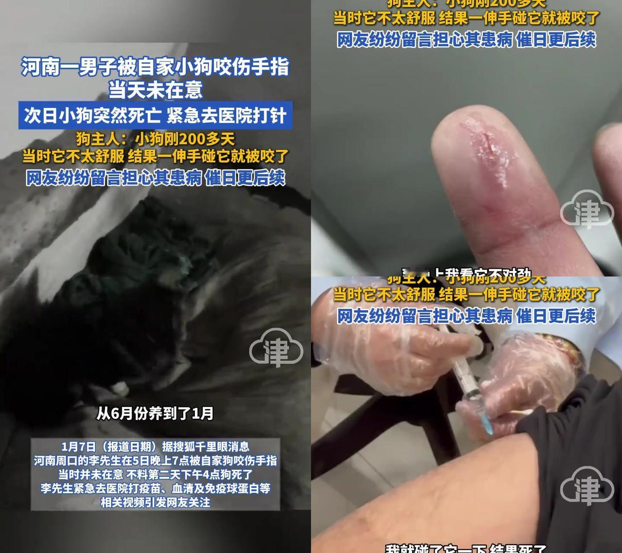 河南男子被200天小狗咬，次日狗死，瞬间慌了！5号晚李先生碰了下不舒服的