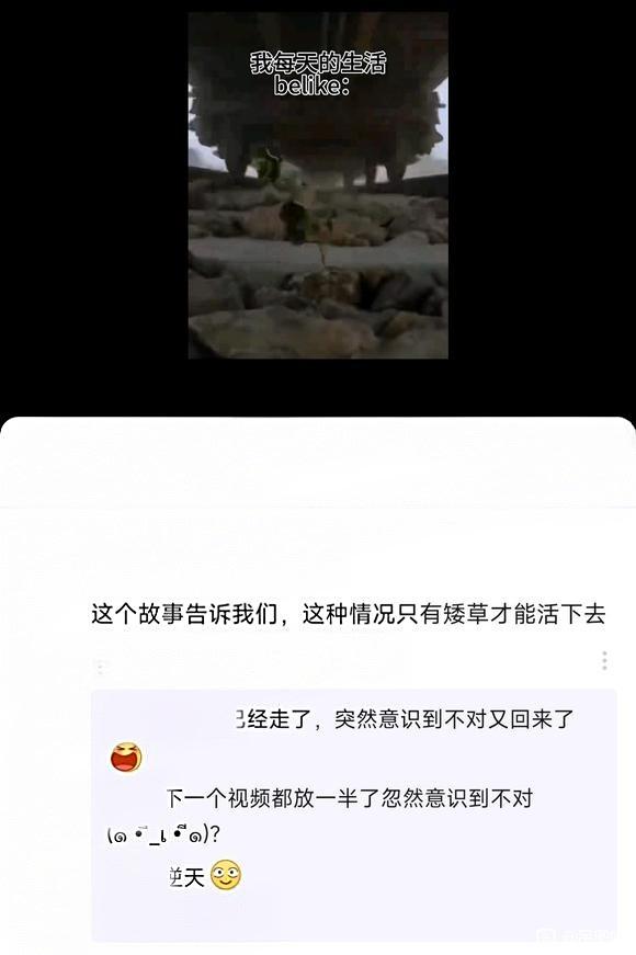 我不信不是矮草就活不下来了