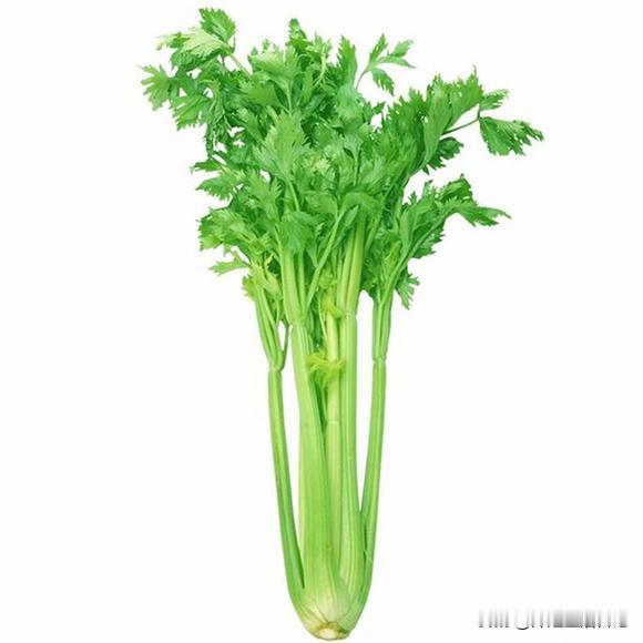 能吃，并且很好吃。芹菜是个宝，炒着吃能降血压降血脂，芹菜叶也能发挥很大的作用，