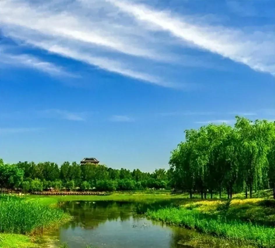北京南苑森林湿地公园的夏天又到周末，高考结束，带着身心疲惫的孩子，找一块清凉的