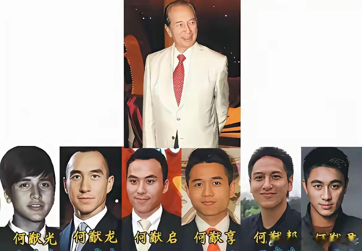 那个儿子最像赌王何鸿燊？