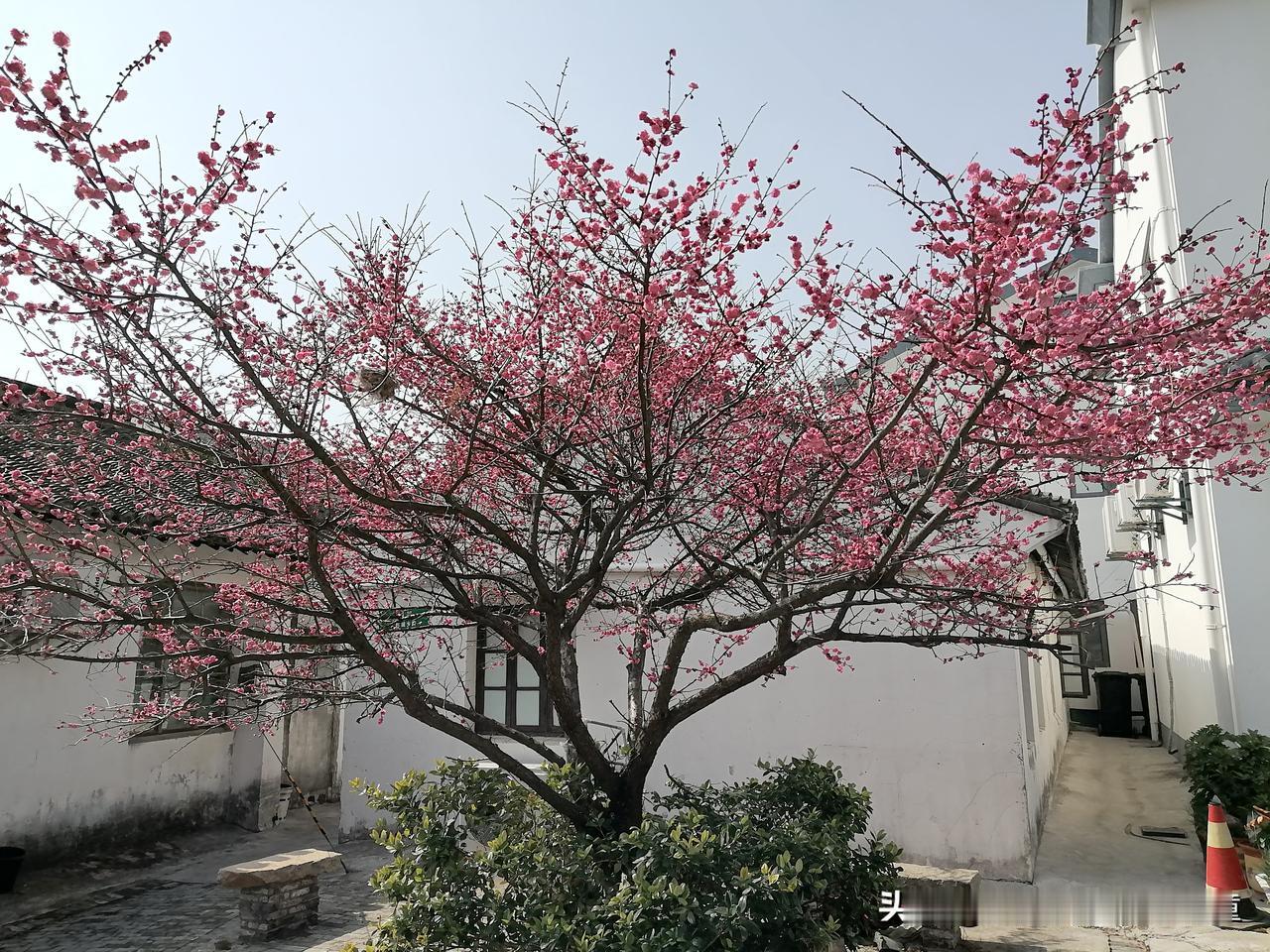 资金体量巨大的游资、机构，还有形形色色的基金，仗着自己强大的资金优势、杠杆优势、