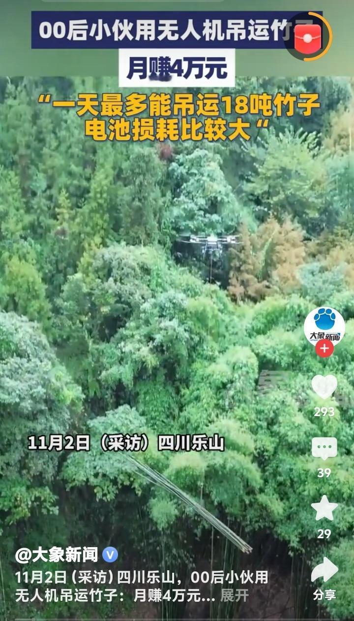 四川乐山00后小伙无人机搬运竹子月入4万！电池损耗惊人背后藏乡村振兴新密码（