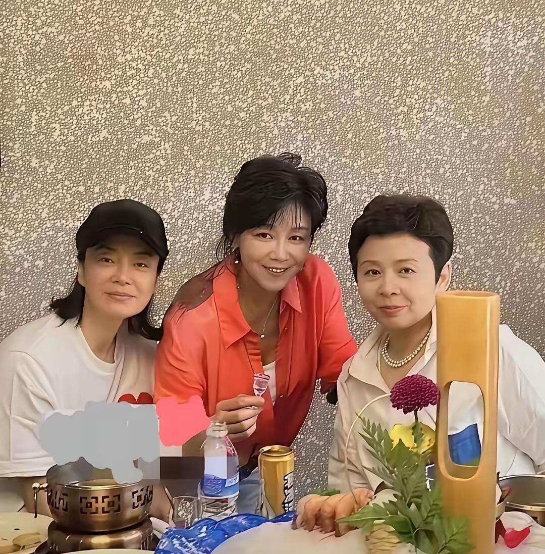 毛阿敏、董文华，两位著名歌唱家，我认识，但是中间这个女士，太难认出了，我大概问了