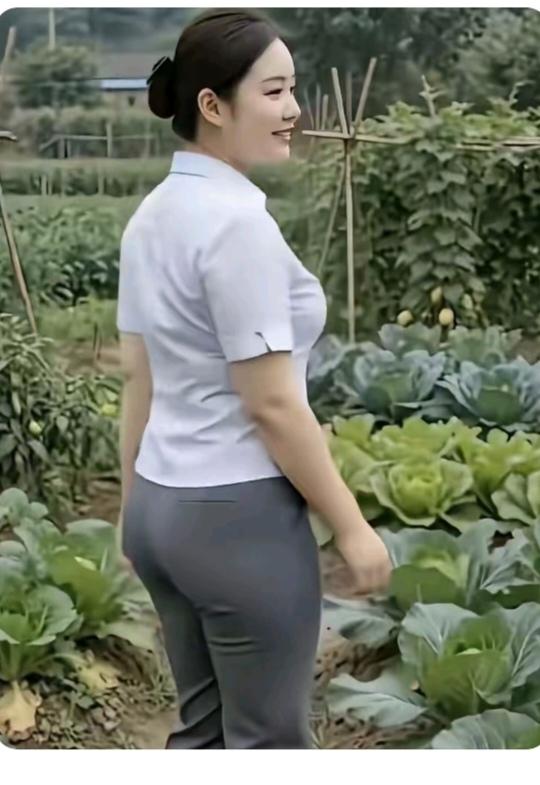 “菜园”一角农家院里蔬菜多；黄瓜芸豆水萝卜；还有小葱和韭菜；西红柿就架上