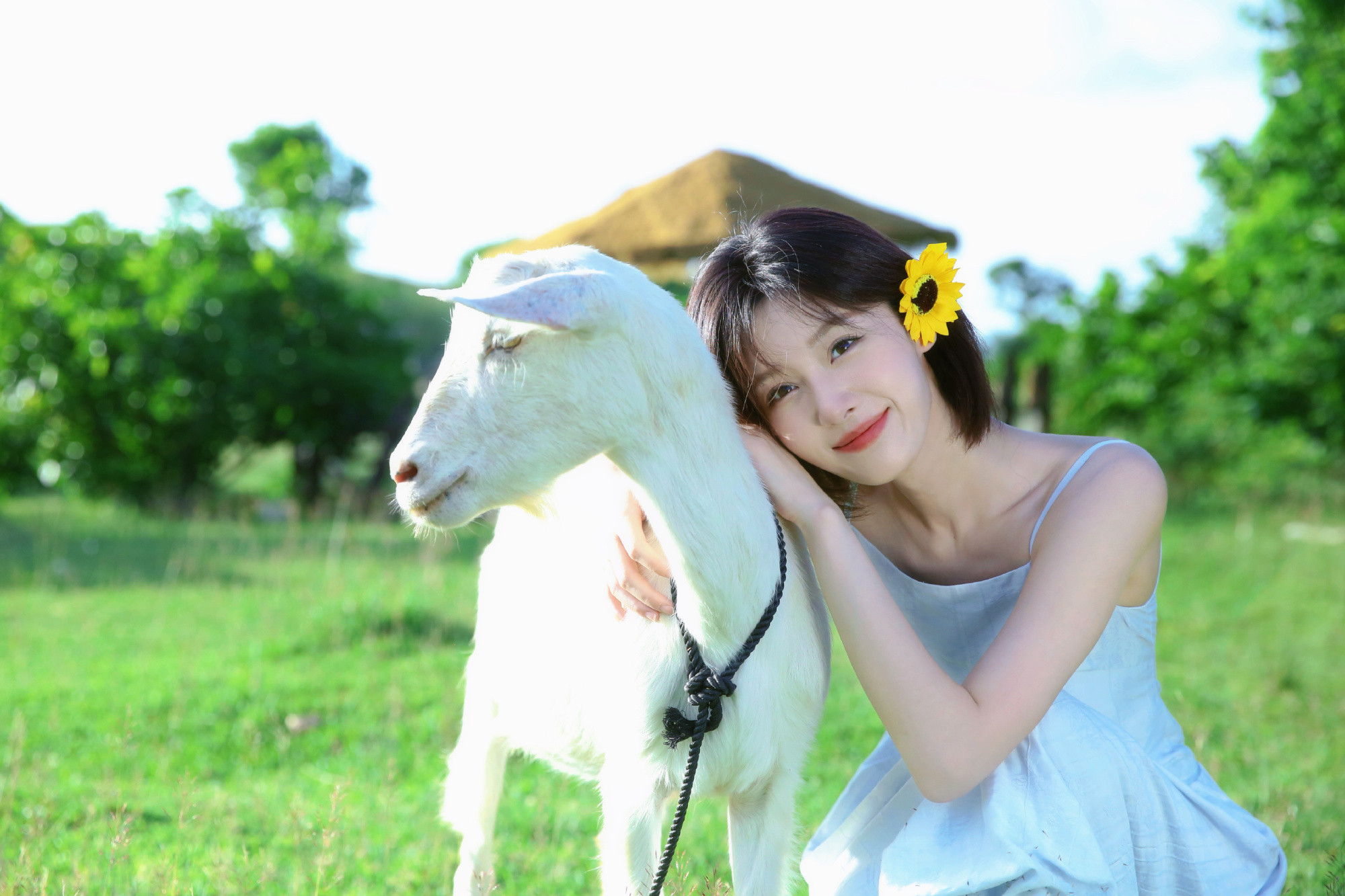 王子璇，白衣吊带，赏析秋日的浪漫。王子璇