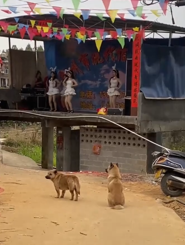 这厕所要是塌了咋整？？？