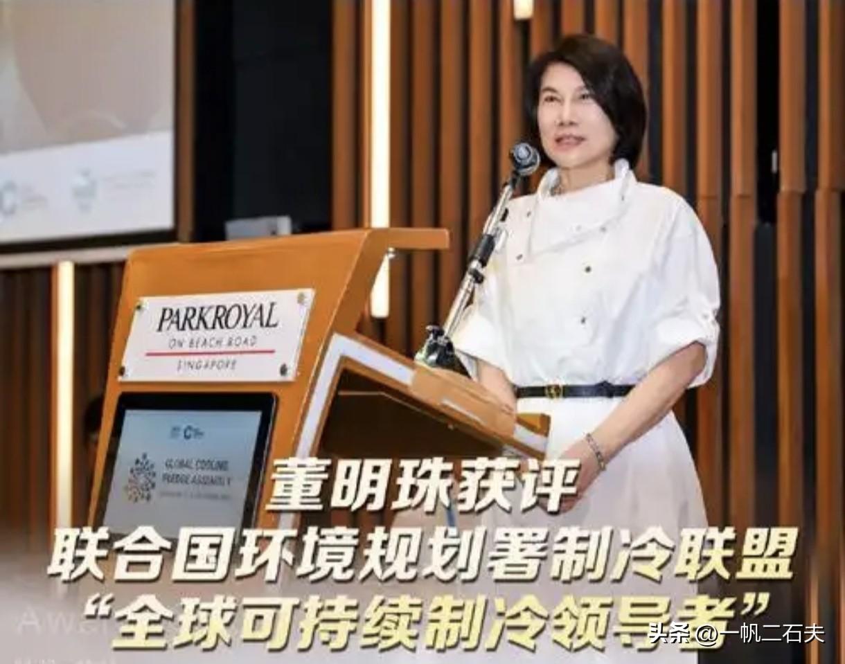 《格力空调董事长董明珠》[加油][微风
