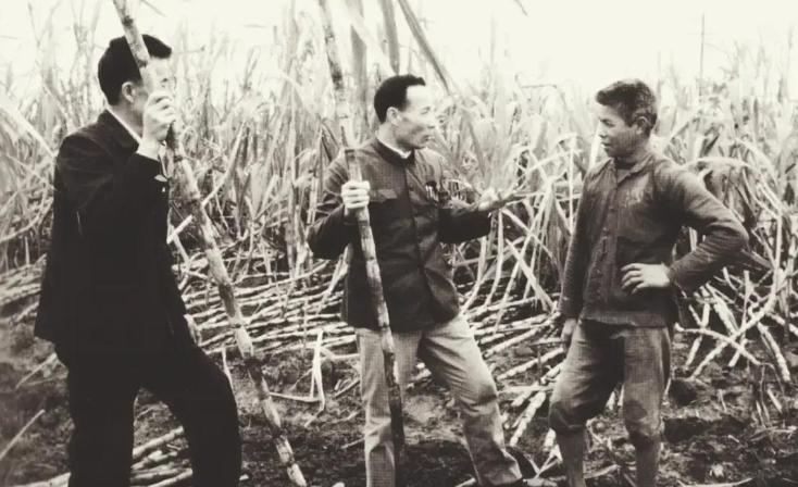 1990年，广州市长换成了黎子流。上任没几天，汇丰方面就派人登门，要求越秀集团所