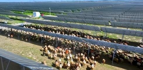 万万没想到，中国基建闹了个大“乌龙”，本打算耗资3亿在荒漠建发电厂，没想到10年