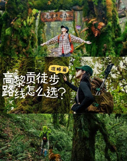 云南腾冲｜高黎贡山徒步线路应该怎么选❓‼️高黎贡山路线五花八门，什么北段、中段