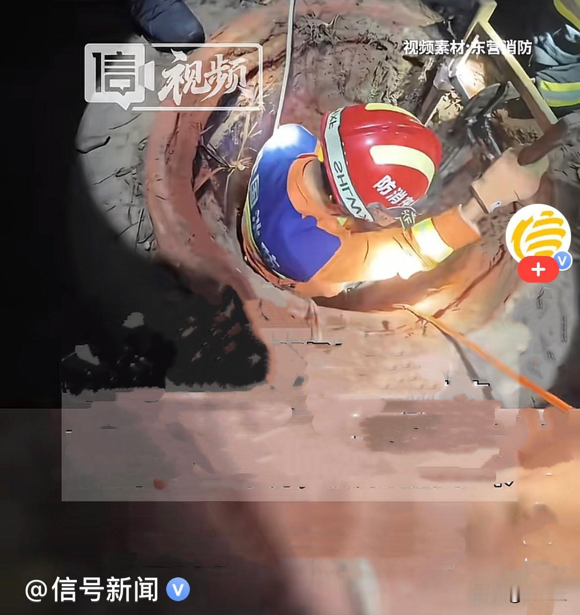 近日，山东东营一对夫妻半夜出门去小区绿化带抓知了猴，夜里光线昏暗，杂草遮挡视线，