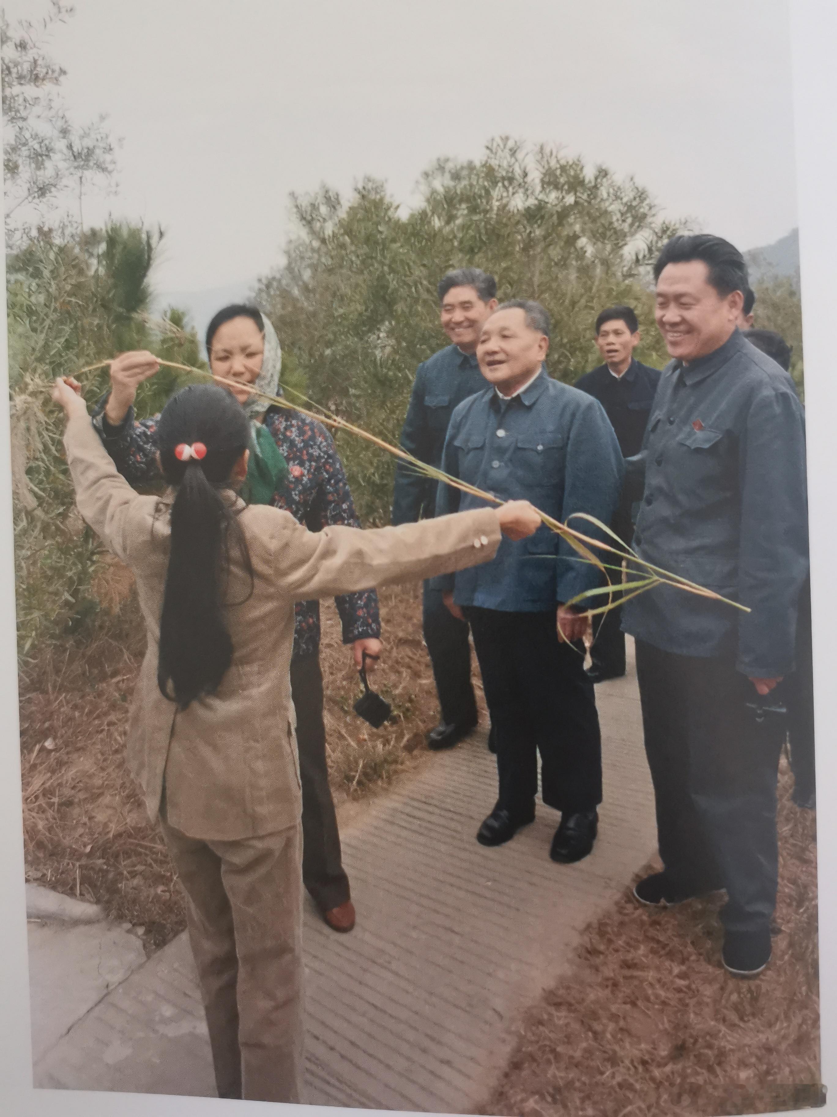 谁这么大胆，敢挡小平的路，他的回答亮了深圳1984年，深圳宾馆后面的小山上，邓