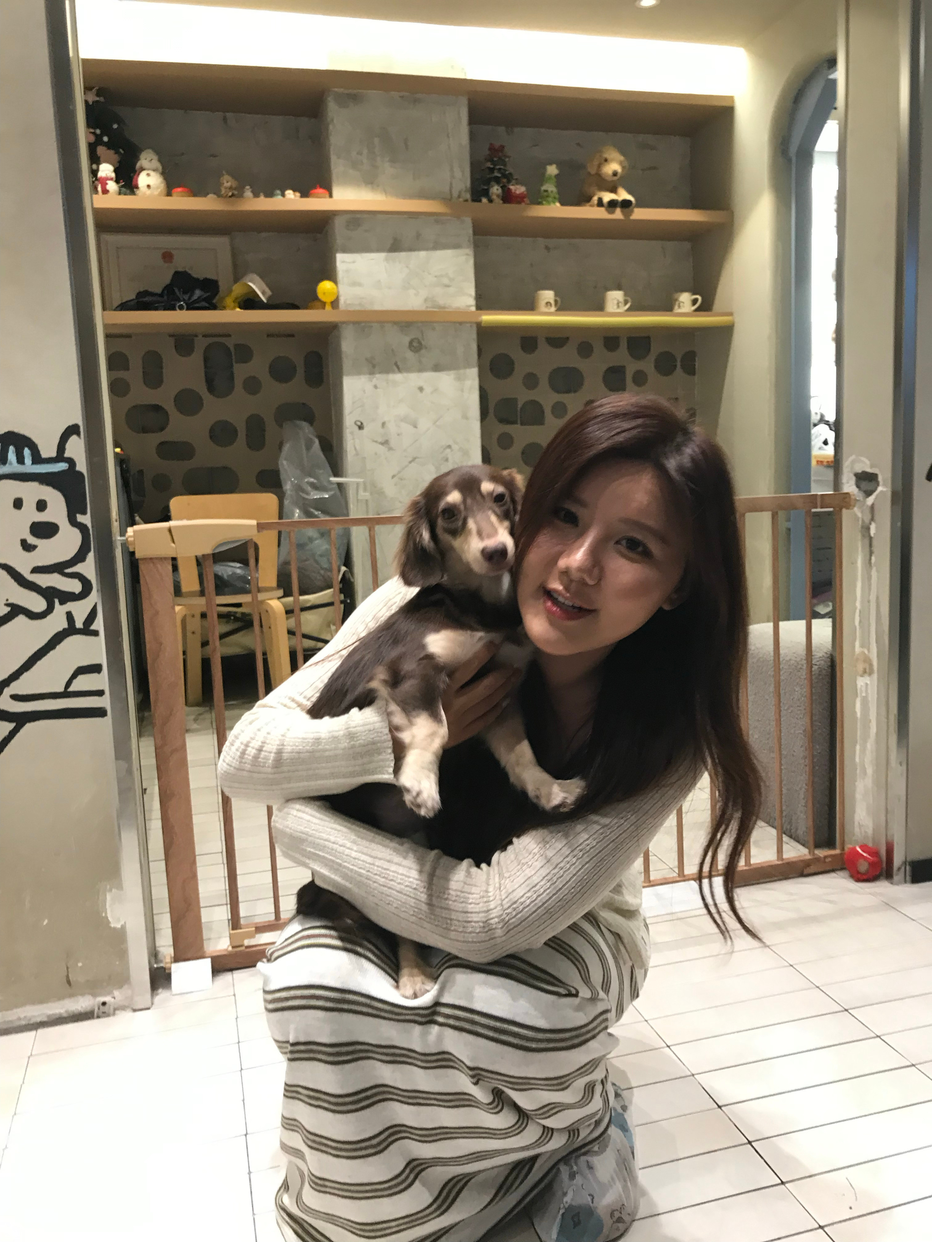 今天好幸福呀！超级多的狗狗🐶