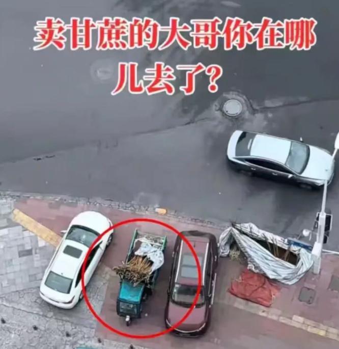 四川，男子发现楼下卖甘蔗的大哥从过年之后就没出摊了，三轮车上的甘蔗都枯成了“木头