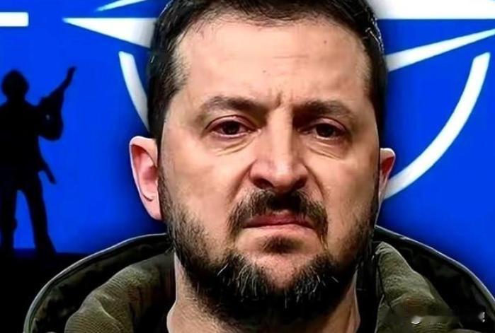 泽连斯基太“精”了，直接扔出了一个让美俄都目瞪口呆的王炸！他说，这仗打到最后，土