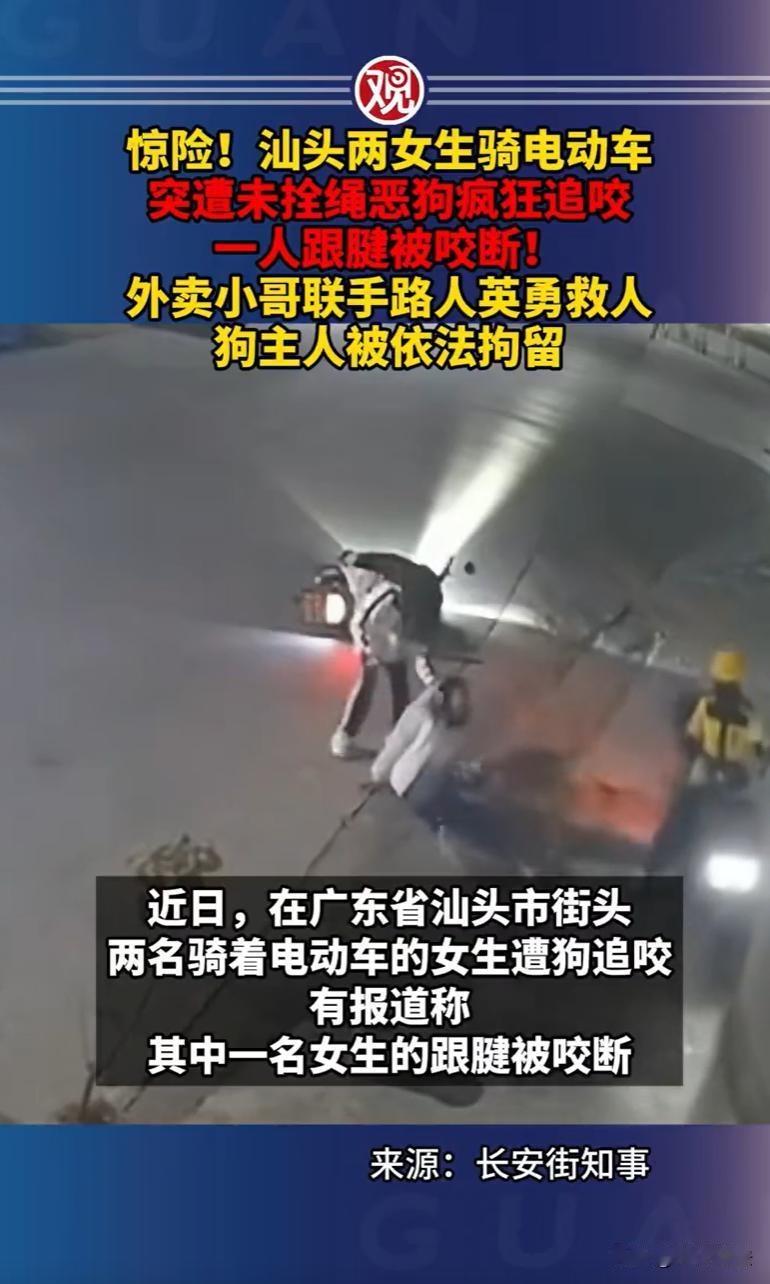 广东汕头，一对姐妹骑着电动车，正轻声聊着天回家。突然，两条没拴绳的大狗从路边猛扑