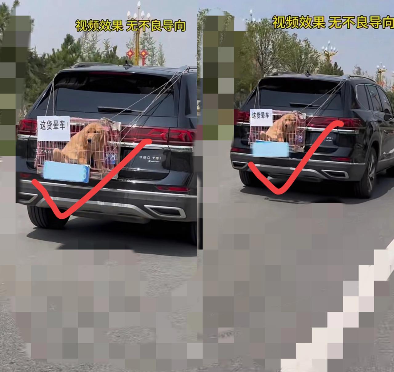 国庆路上这幕太戳人！狗狗被拴车尾看着好可怜，走近一看贴条笑喷：“晕