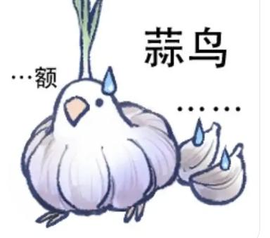 “蒜鸟”这个词语这些日子很火，据说武汉市很多单位准备以这个为爆点搞地方文化输出
