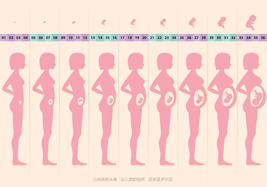 产科医生教您, 怎样科学的计算孕周