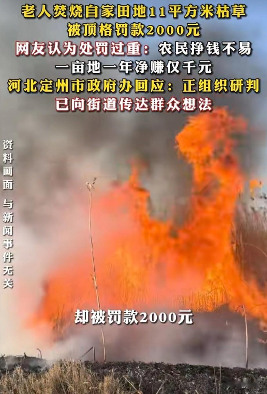 听说了吗！河北定州那位61岁得老农民，在自己地里拢了拢枯草树叶，拢共也就11平米