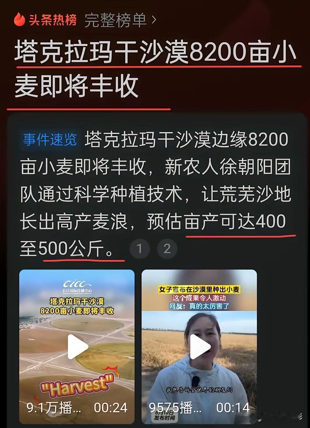 塔克拉玛干8200亩小麦丰收在望！预估亩产可达近千斤！塔克拉玛干总面积，可是高达
